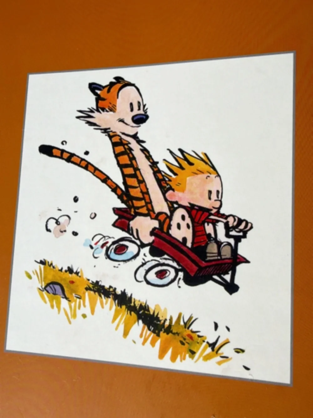 The Complete Calvin And Hobbes Paperback Collection Box Set by Bill Watterson!